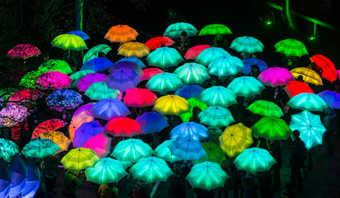 Photo of multicoloured illuminated umbrellas