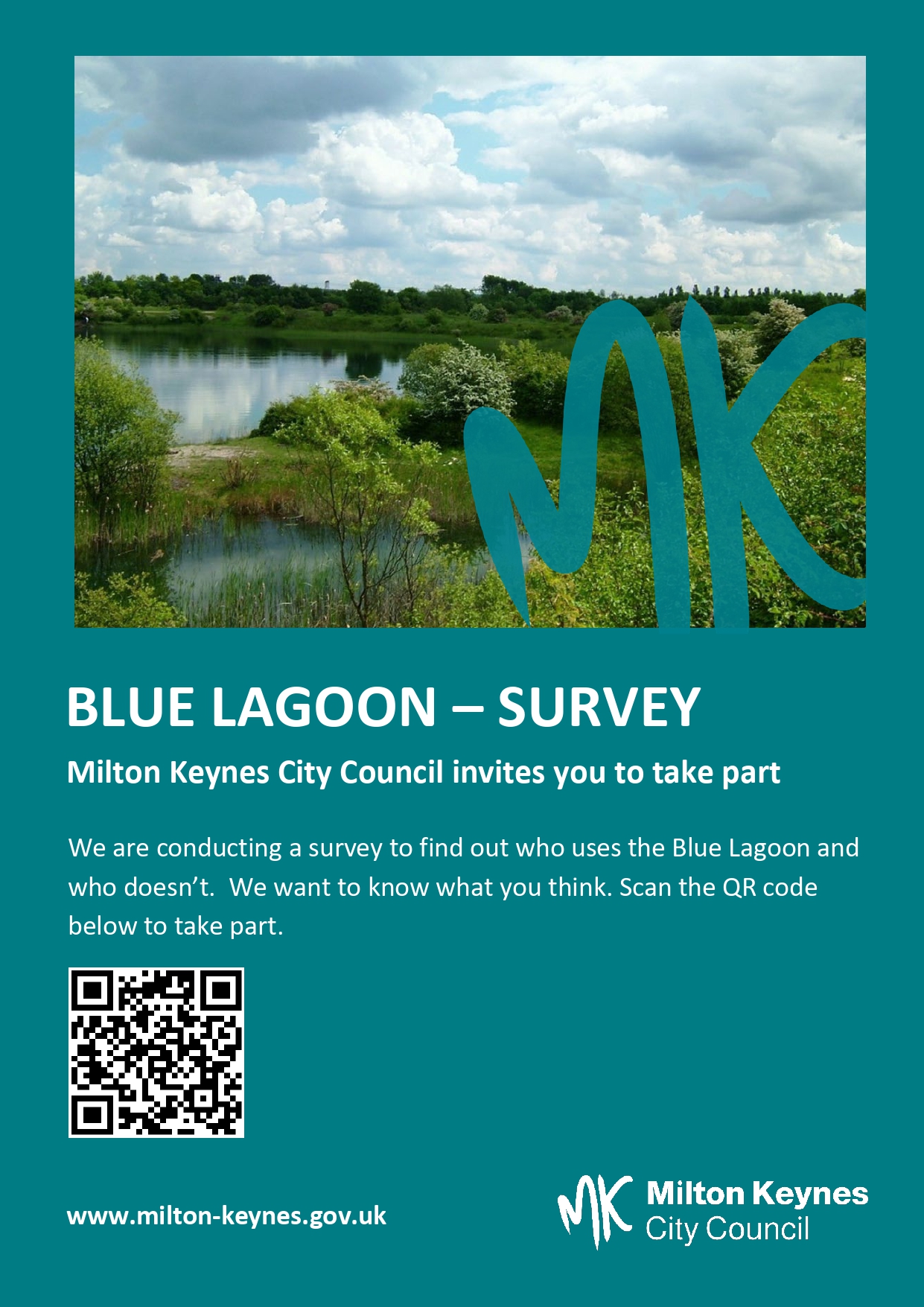 Image of Blue Lagoon Survey poster