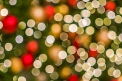 Image of Christmas lights on a tree