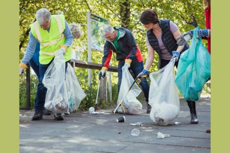 Image of group litter picking