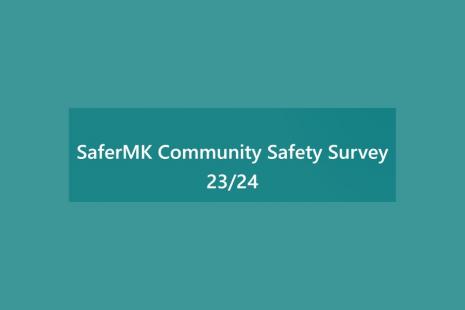 Image of SaferMK Community Survey logo